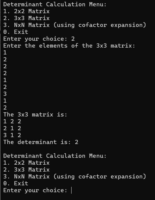 Programming C Determinant
