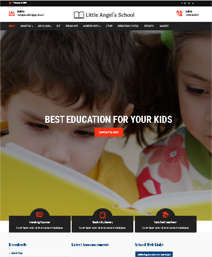 School website 2